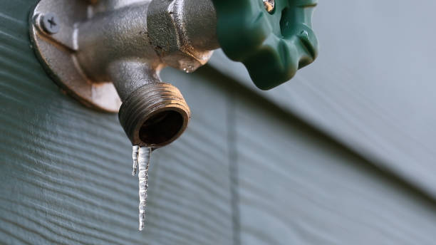 Best Plumbing Inspection Services  in South Pottstown, PA